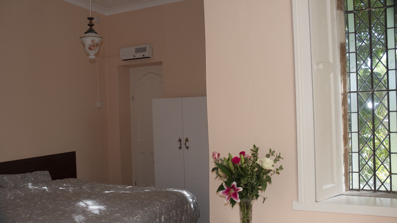 Photo of Others in Pill