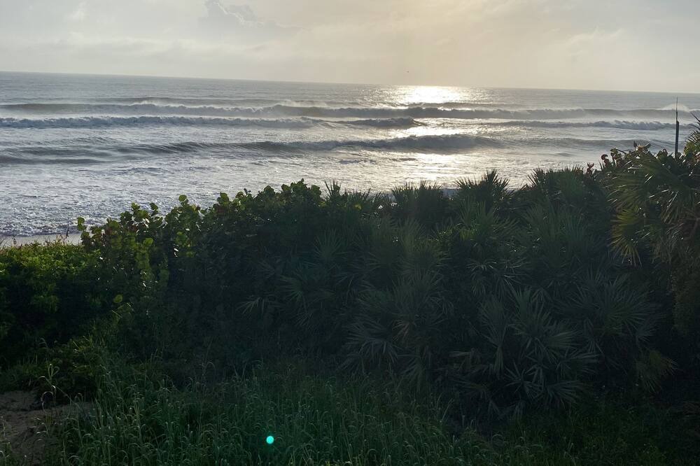 Photo of Others in Melbourne Beach