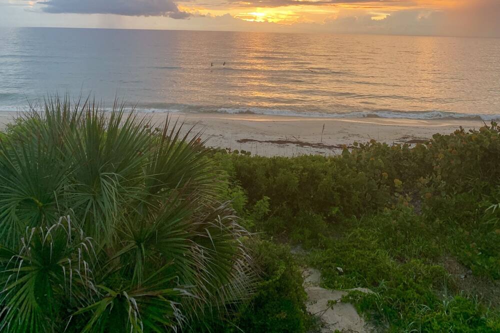 Photo of Others in Melbourne Beach
