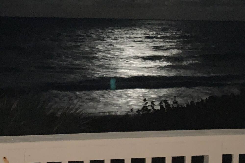 Photo of Others in Melbourne Beach