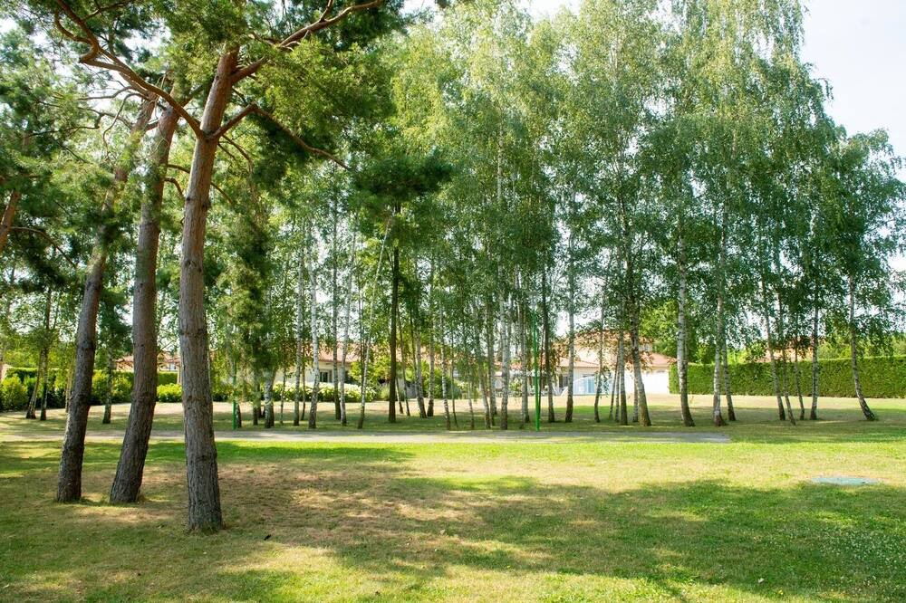 Photo of Outdoor in Savigneux