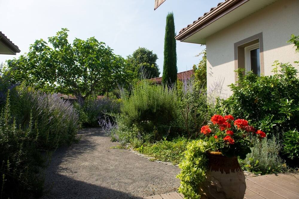 Photo of Outdoor in Savigneux