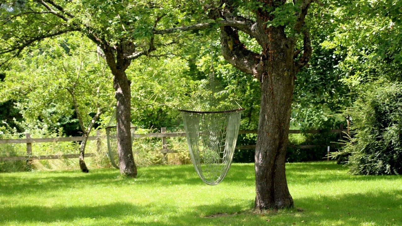 Photo of Outdoor in Saires