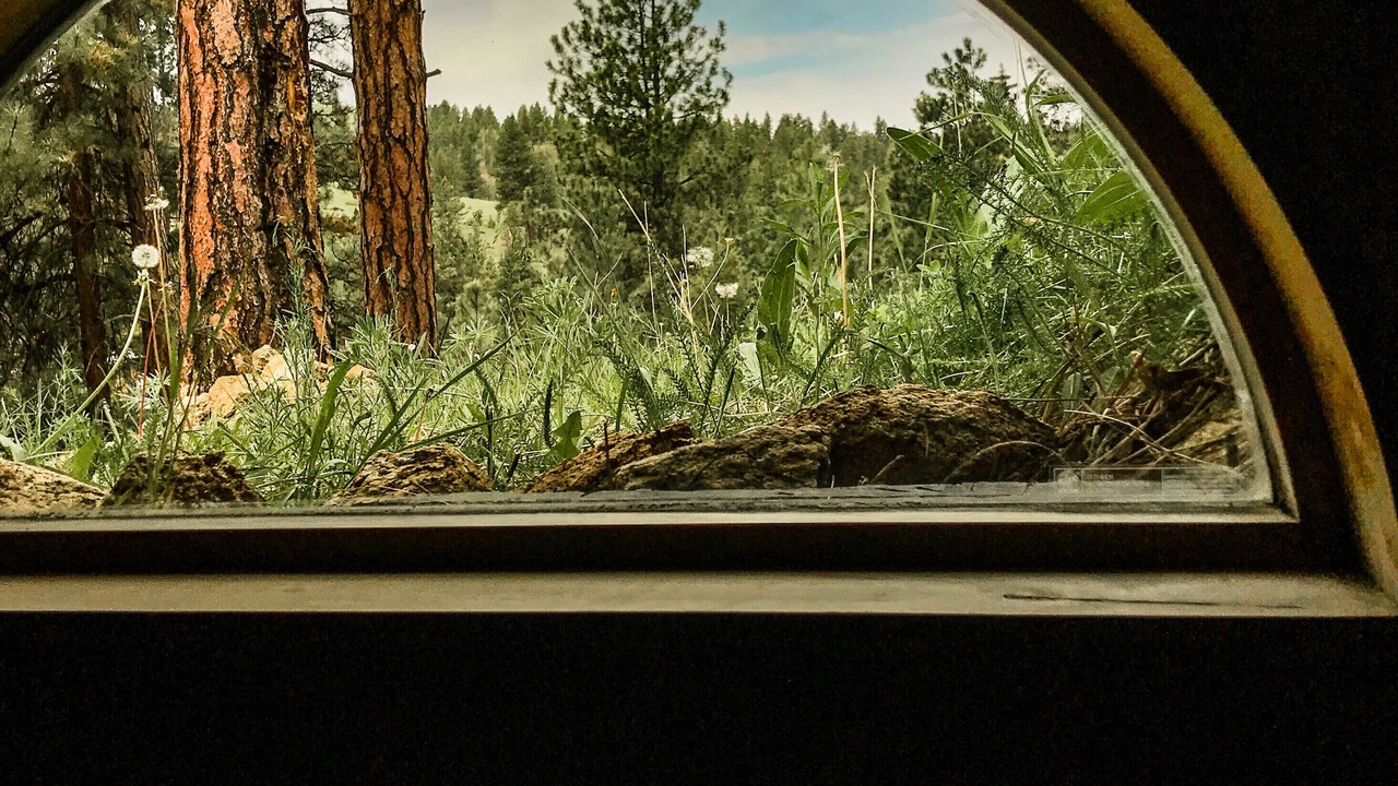 Photo of Others in Clancy