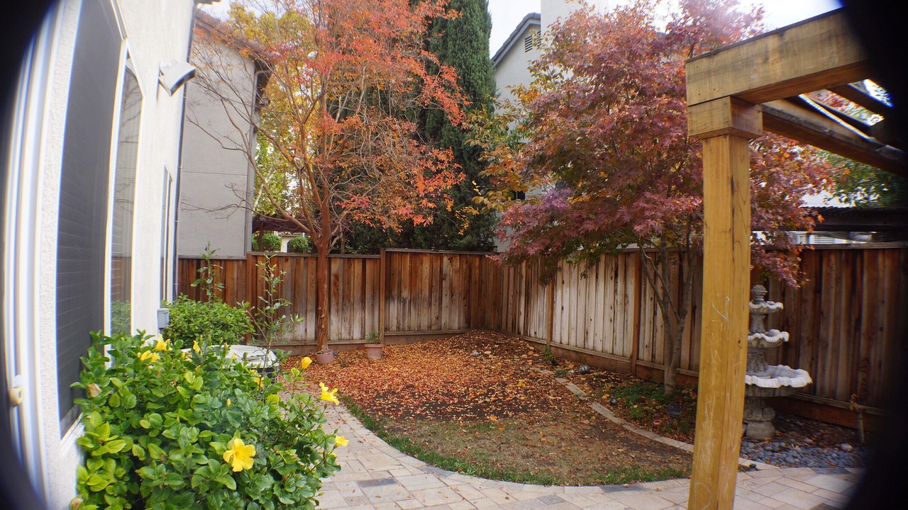 Photo of Outdoor in Edenvale