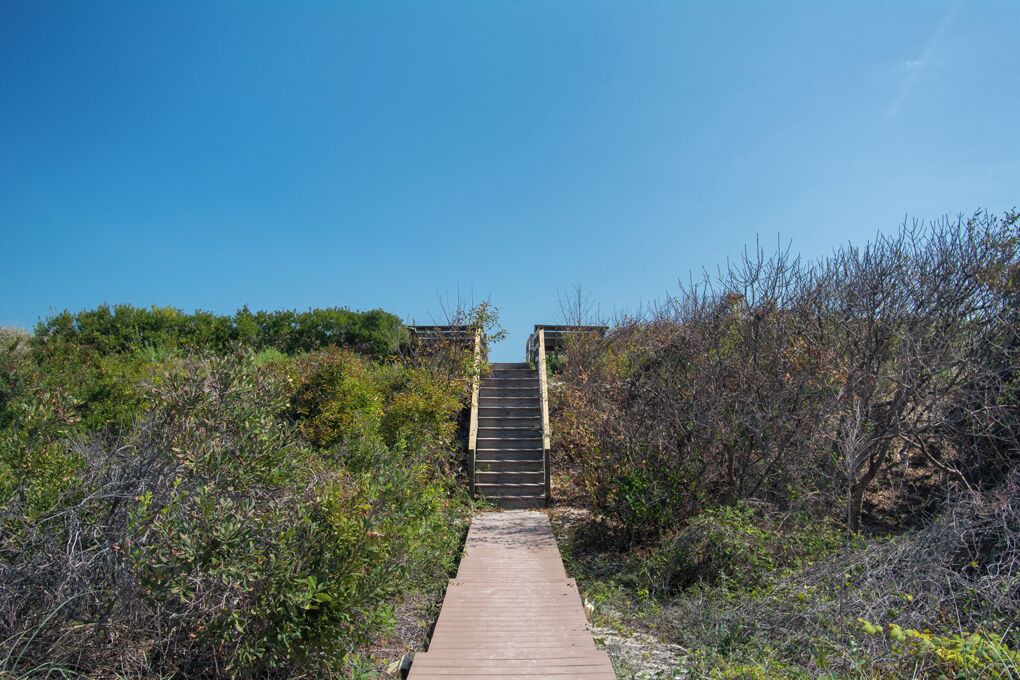 Photo of Outdoor in Pine Island