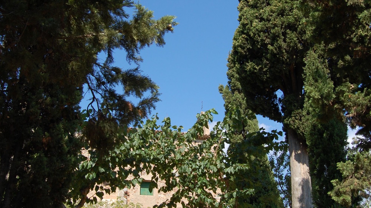 Photo of Outdoor in Alforja