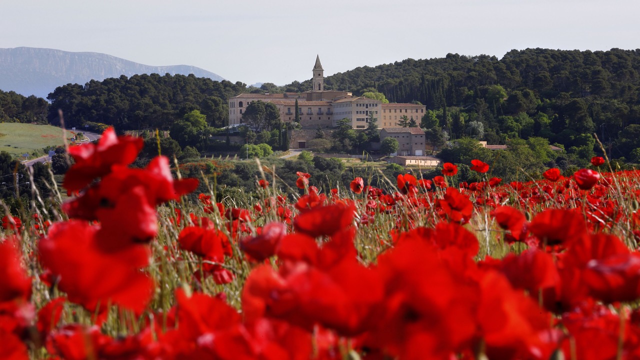 Photo of Others in Os de Balaguer