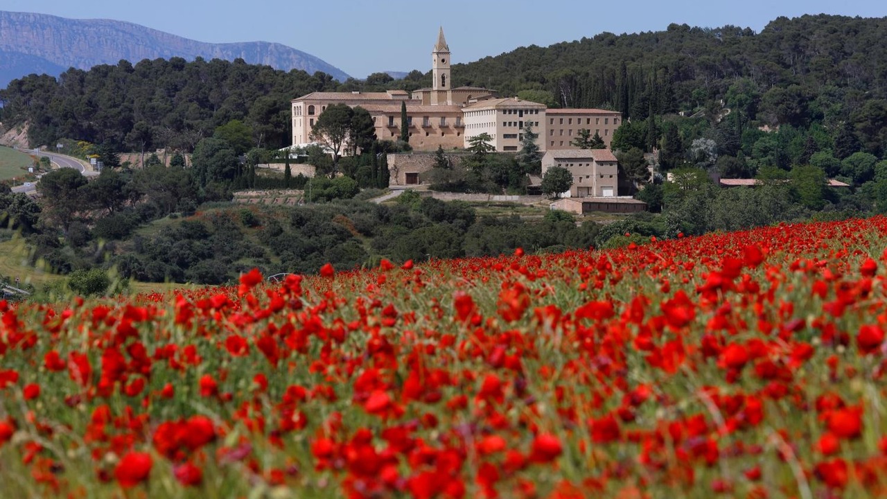 Photo of Outdoor in Os de Balaguer