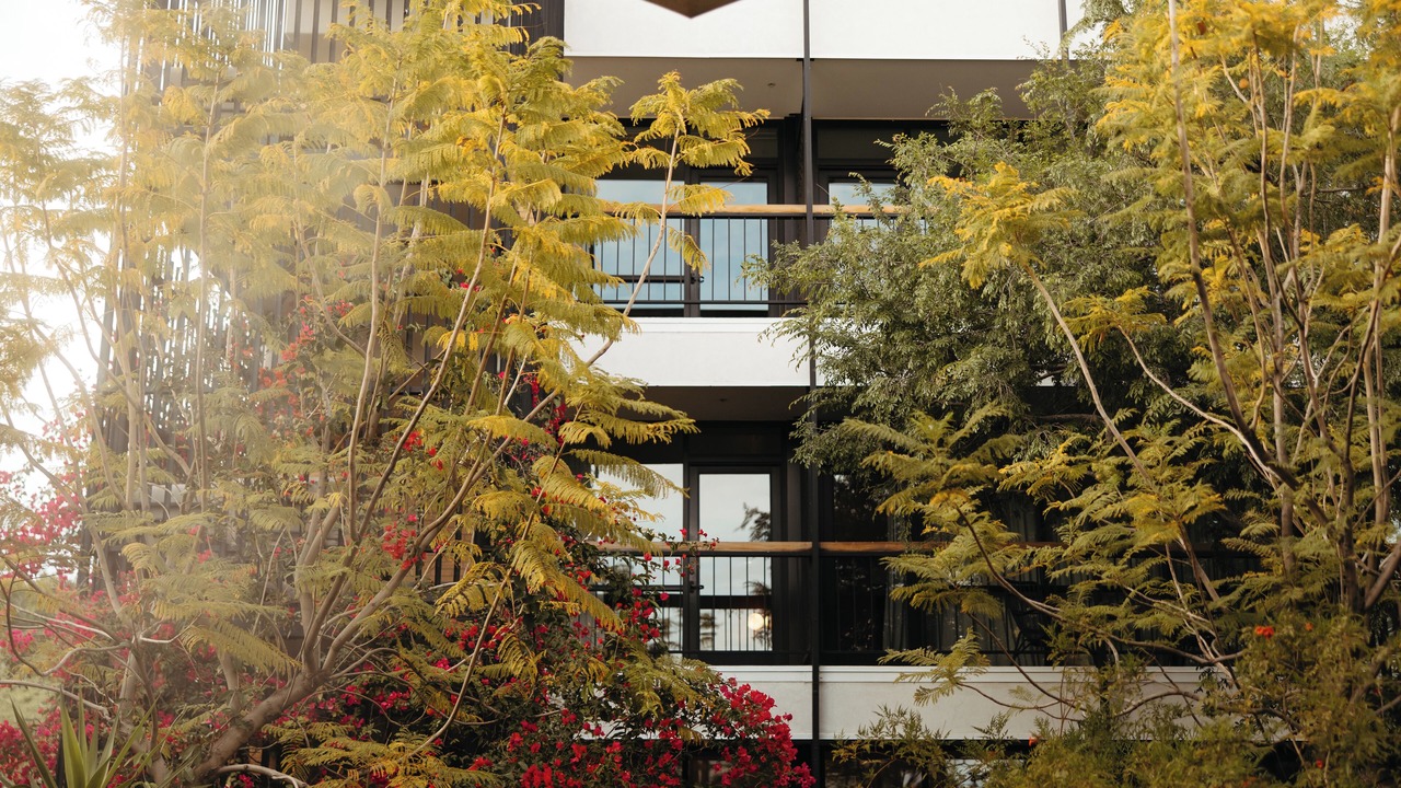 Photo of Outdoor in Alhambra