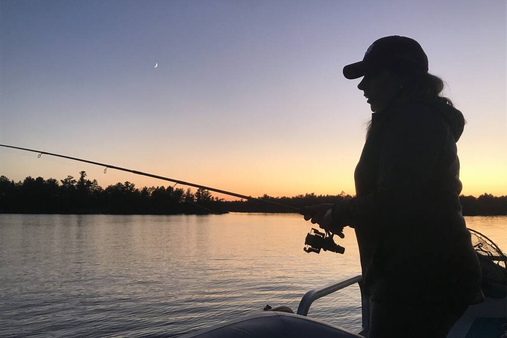 Photo of Others in West Arm