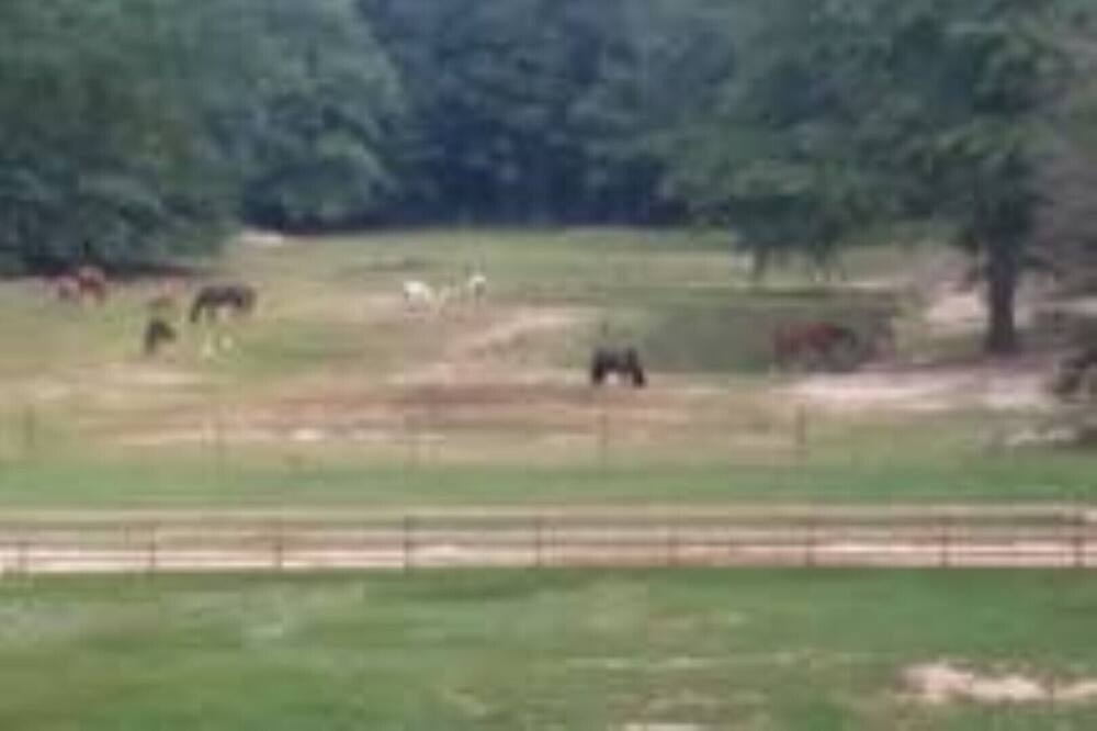 Photo of Outdoor in Cassatt