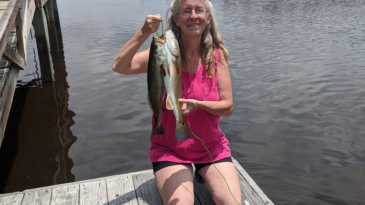 Photo of Outdoor in Shallotte