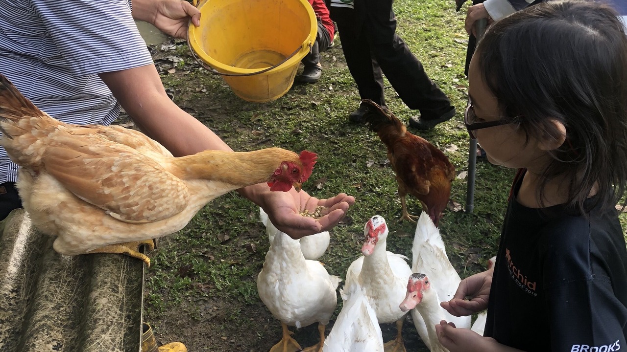 Photo of Others in Hulu Langat