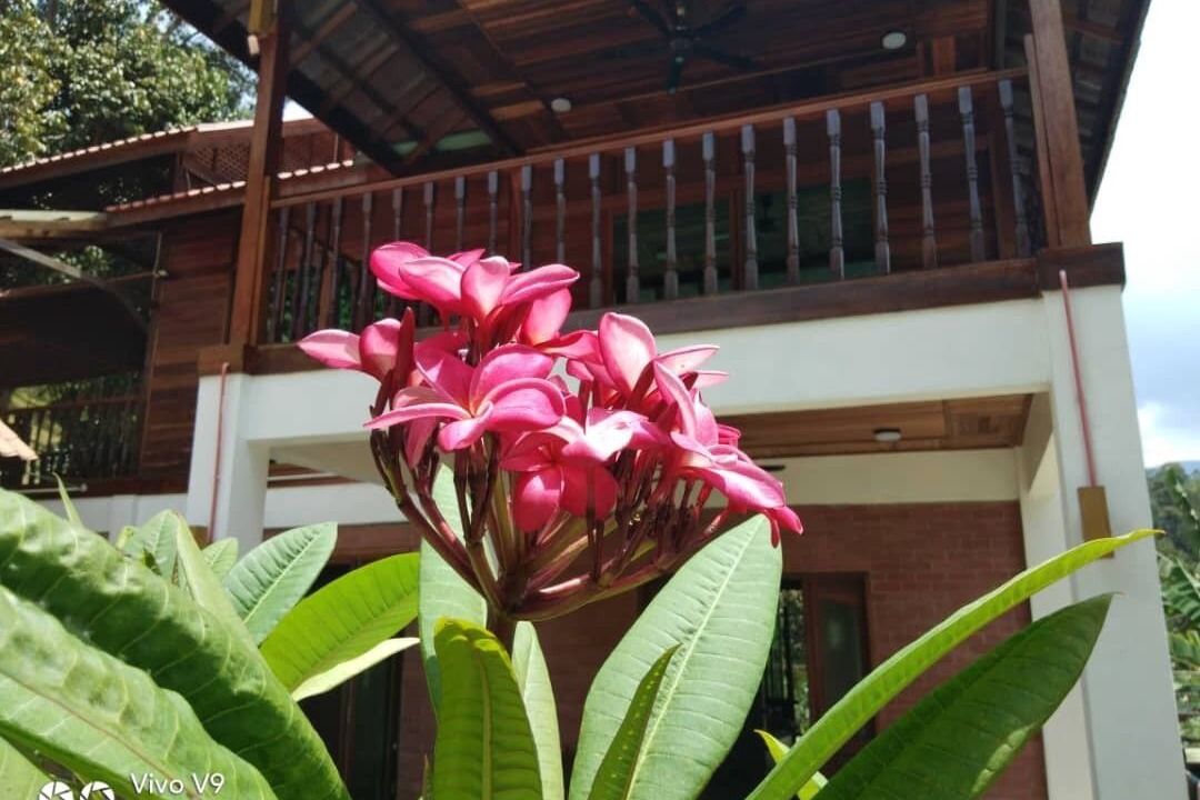 Photo of Outdoor in Hulu Langat