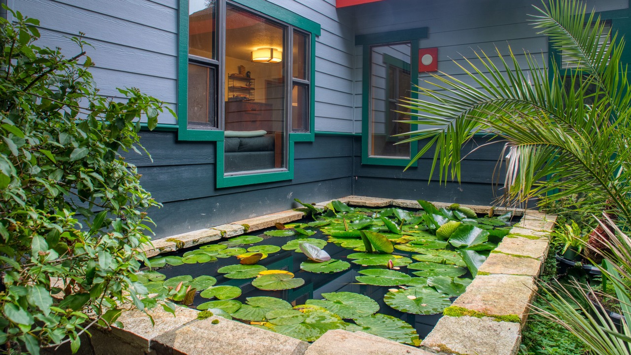 Photo of Outdoor in Sehome