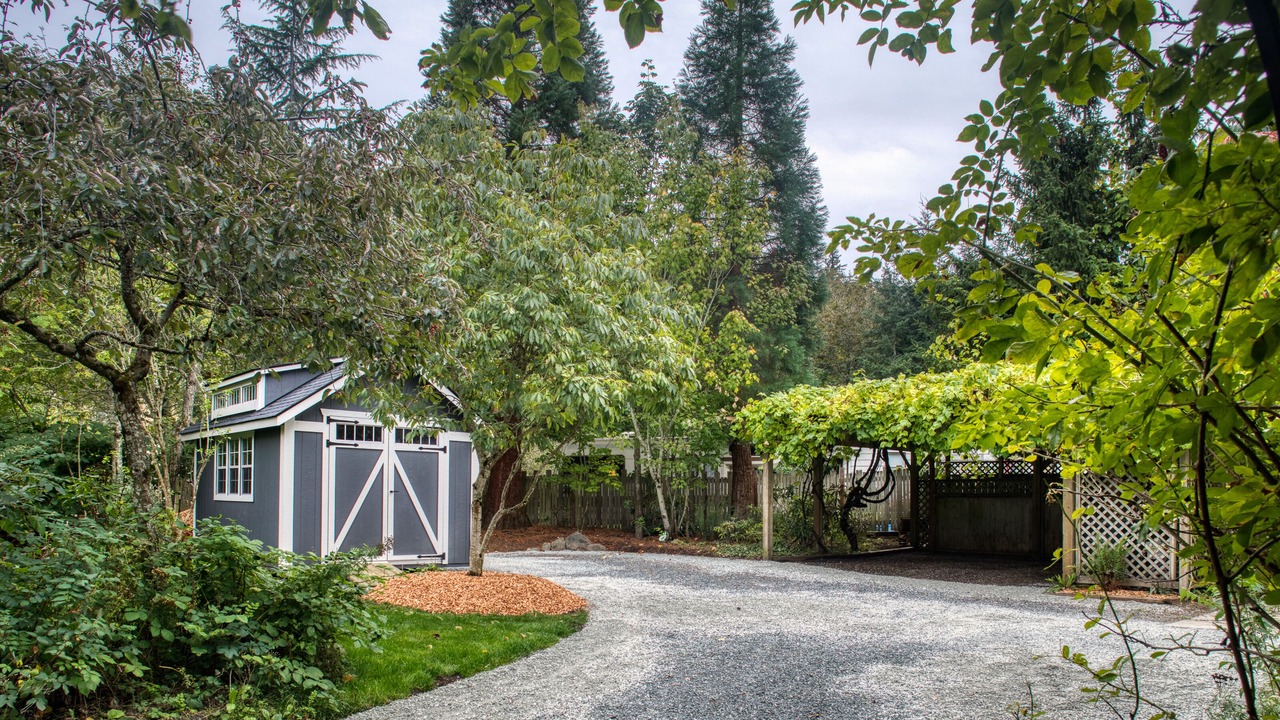 Photo of Outdoor in Sehome