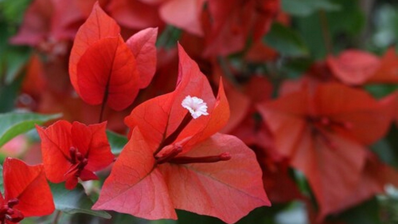 Photo of Outdoor in Antibes