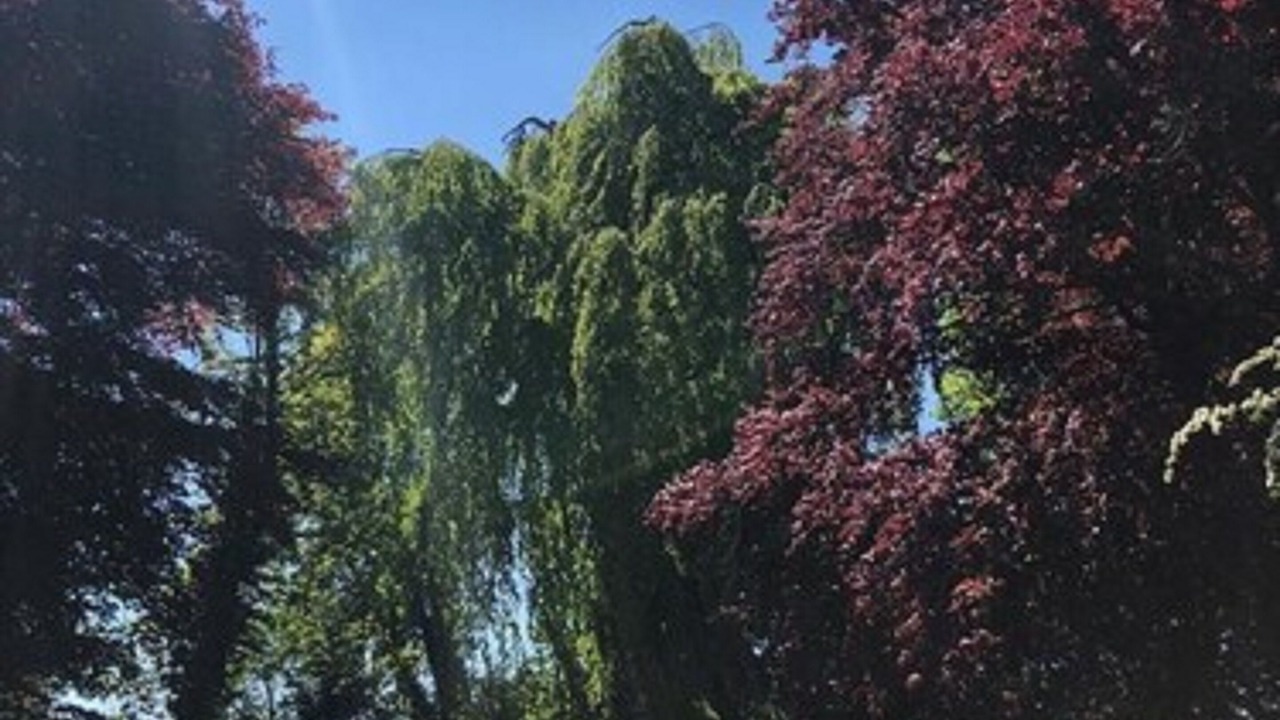 Photo of Outdoor in Gace