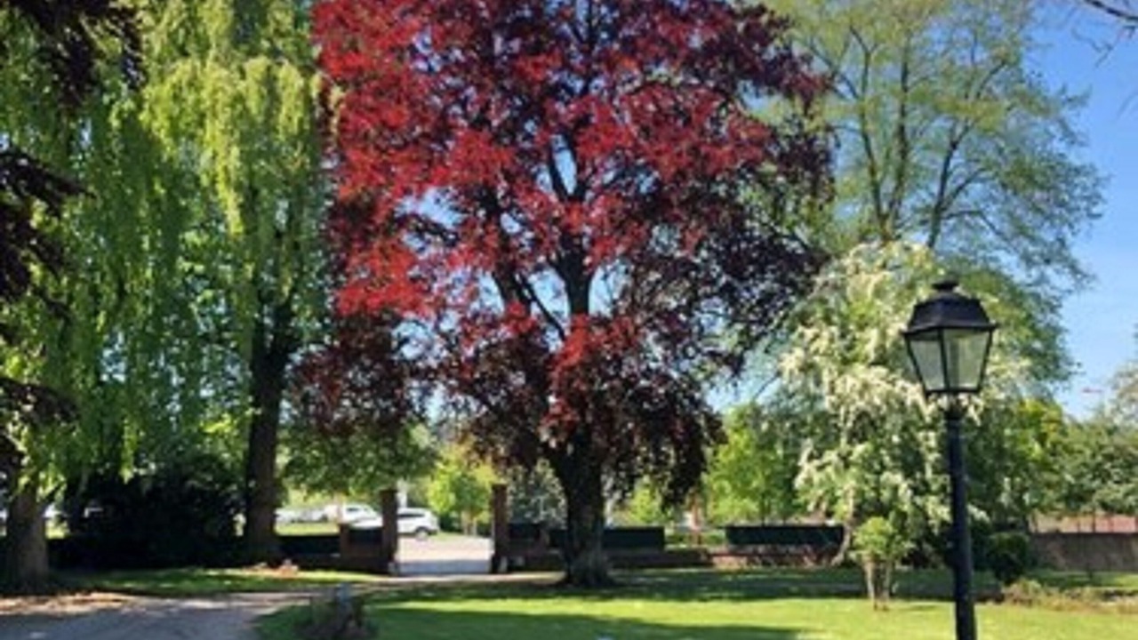 Photo of Outdoor in Gace