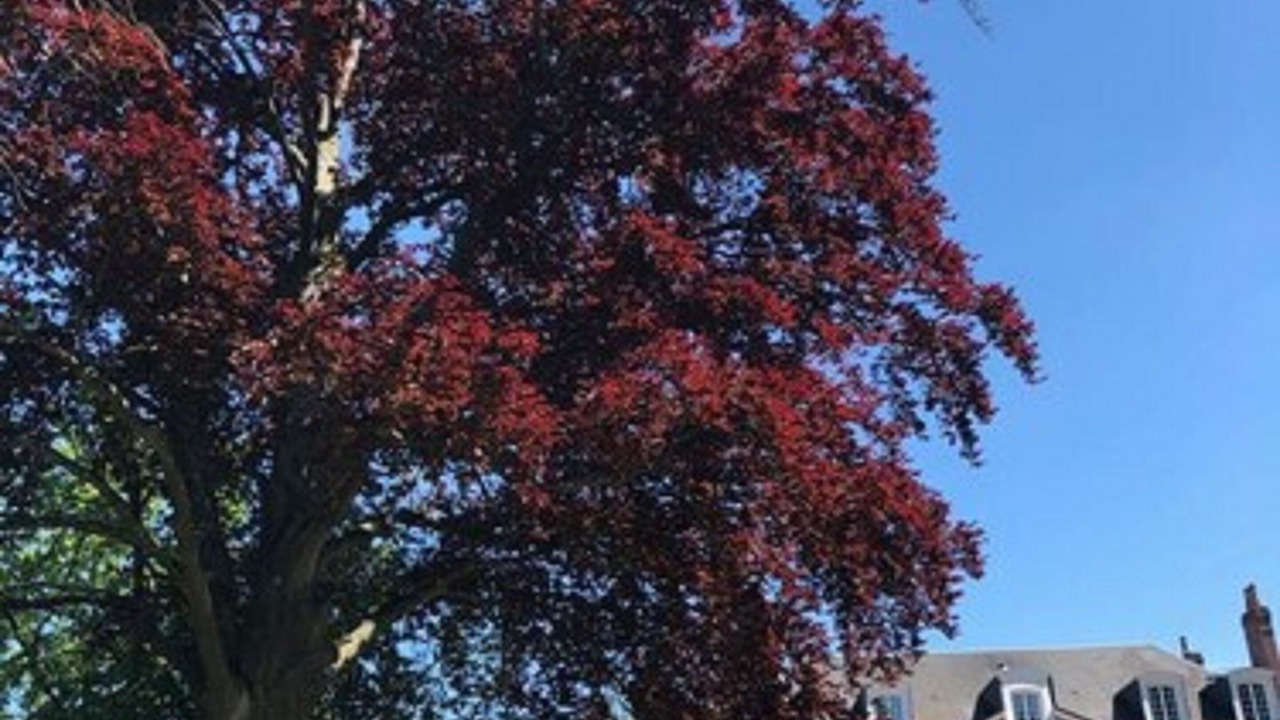 Photo of Outdoor in Gace