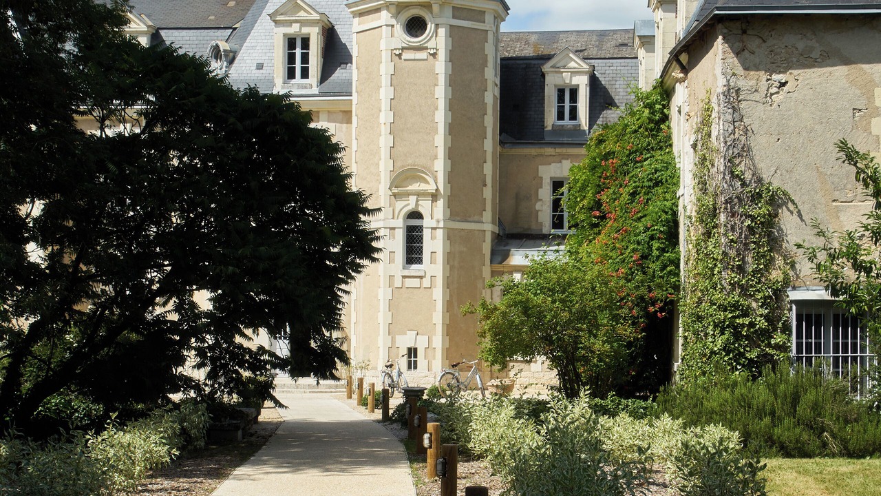 Photo of Outdoor in Cheverny