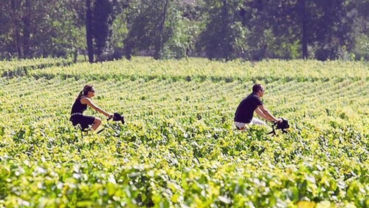 Photo of Outdoor in Cheverny