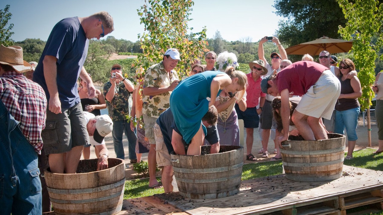 Photo of Others in Placerville