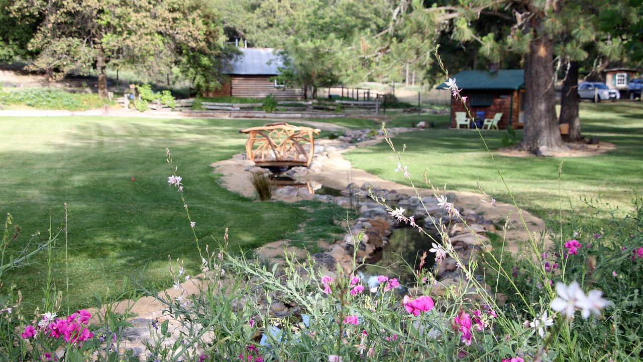 Photo of Outdoor in Placerville