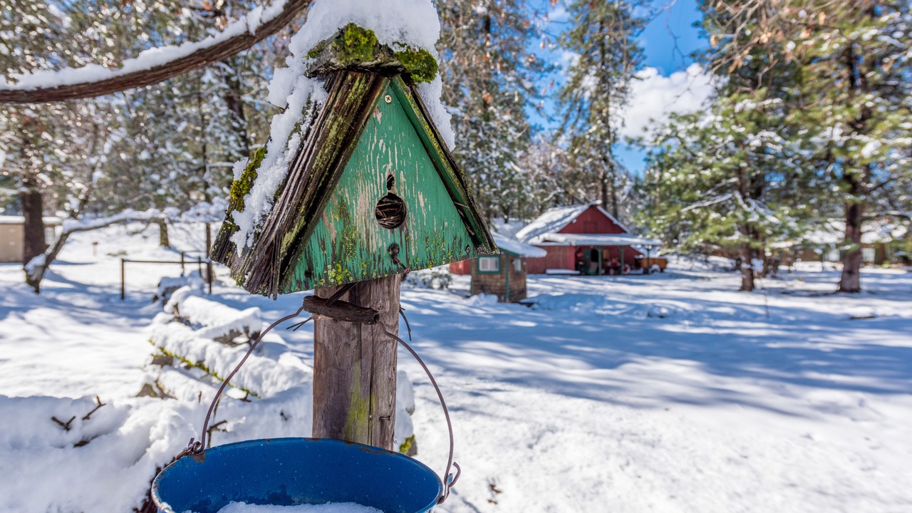 Photo of Outdoor in Placerville