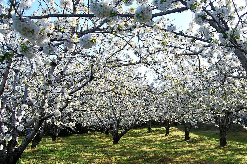 Photo of Outdoor in Cabrero
