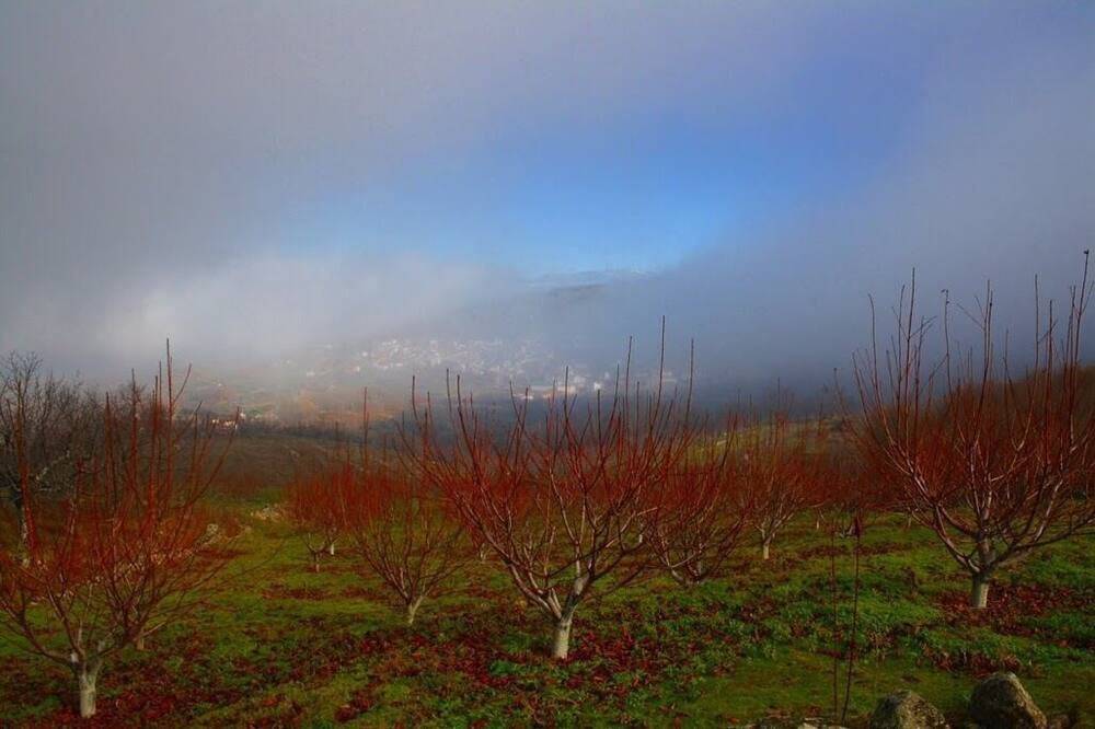 Photo of Outdoor in Cabrero