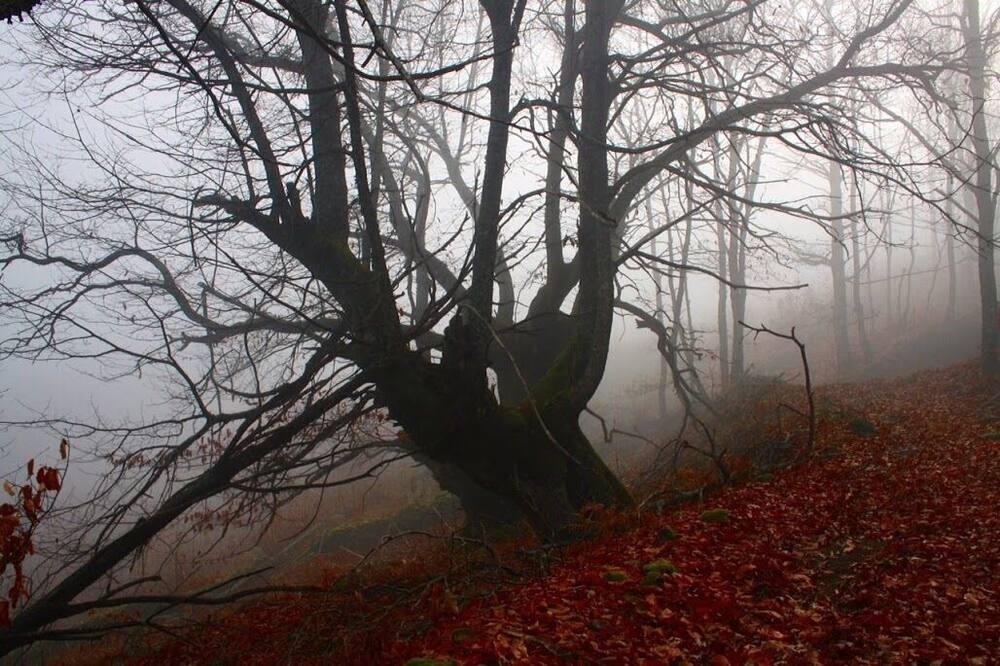 Photo of Outdoor in Cabrero