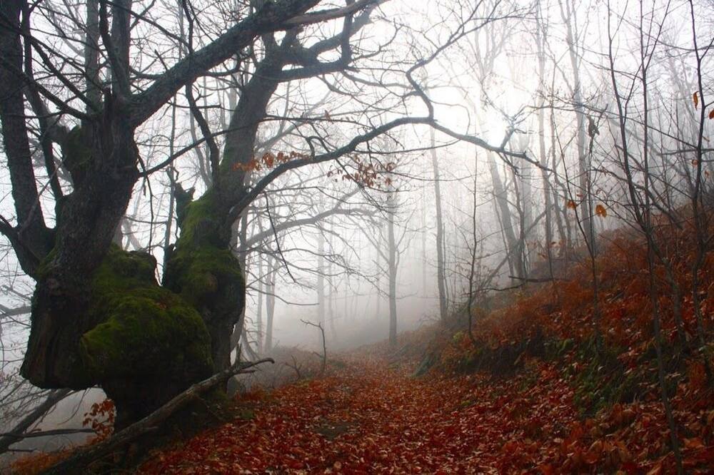 Photo of Outdoor in Cabrero