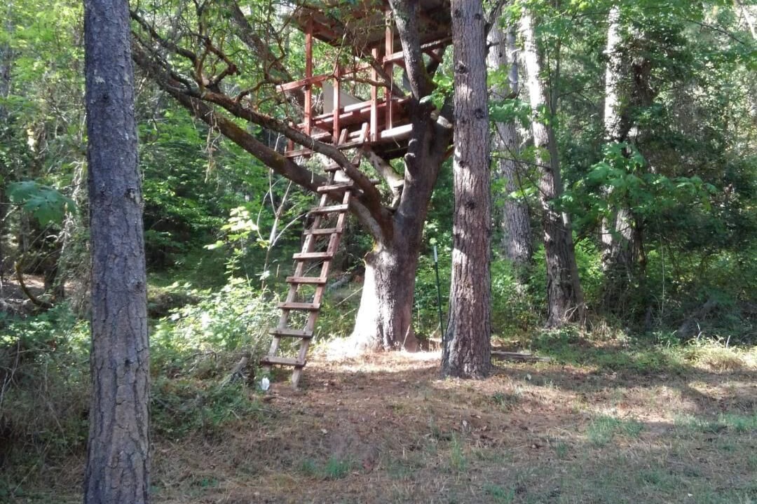 Photo of Outdoor in Myrtle Creek