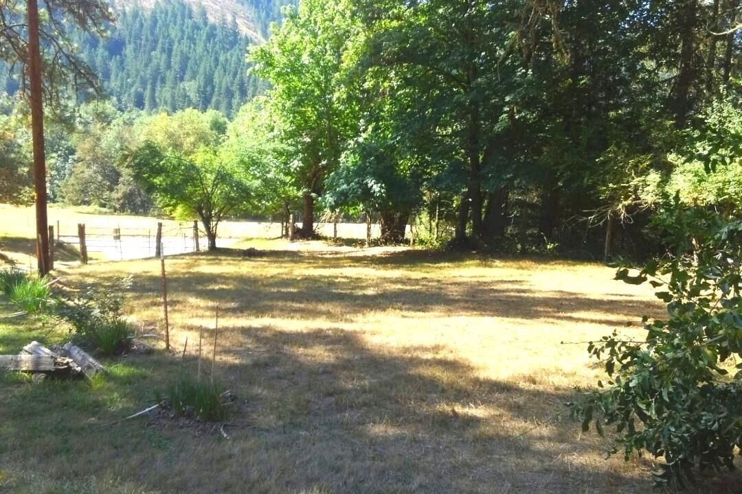 Photo of Outdoor in Myrtle Creek