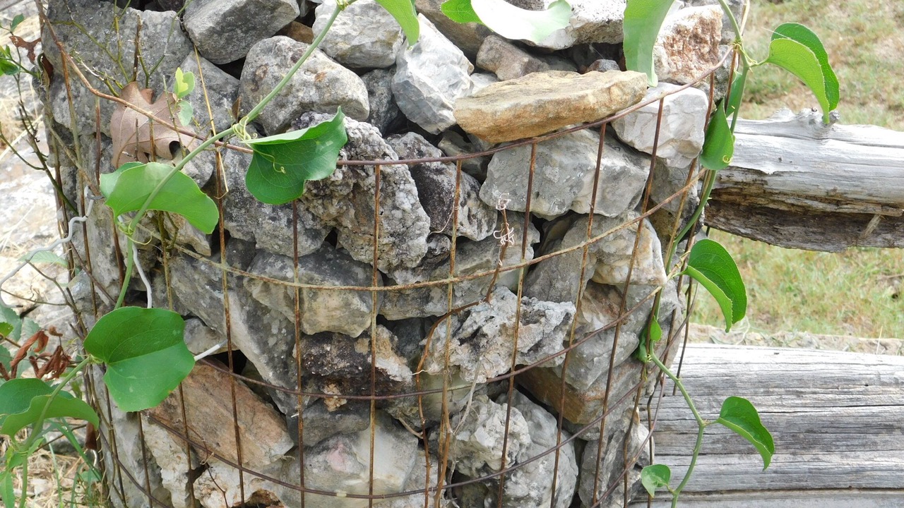 Photo of Outdoor in Mountain Home