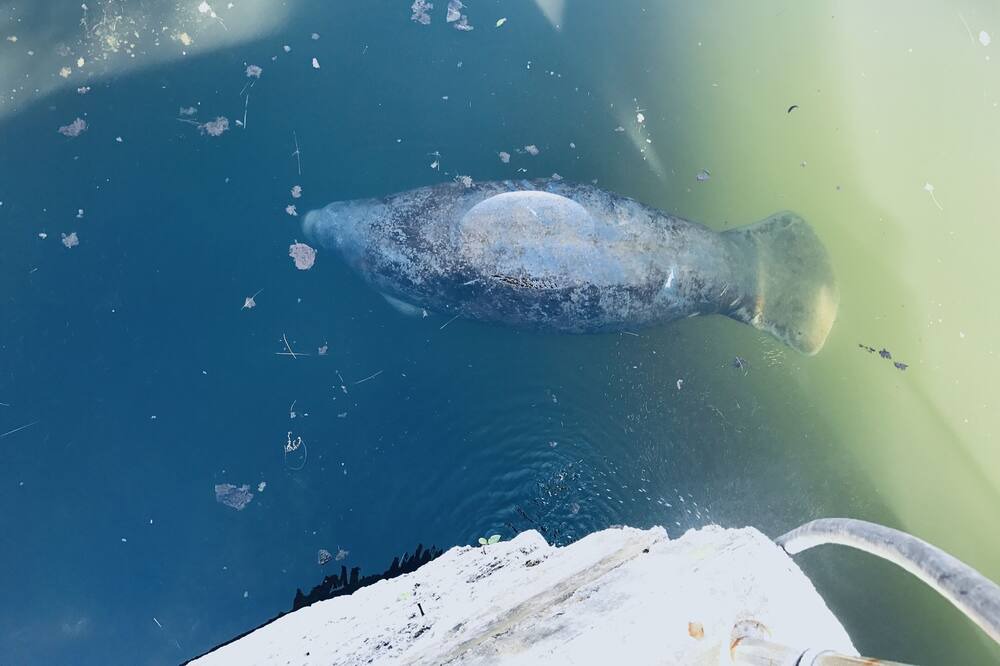 Photo of Others in Twin Lakes