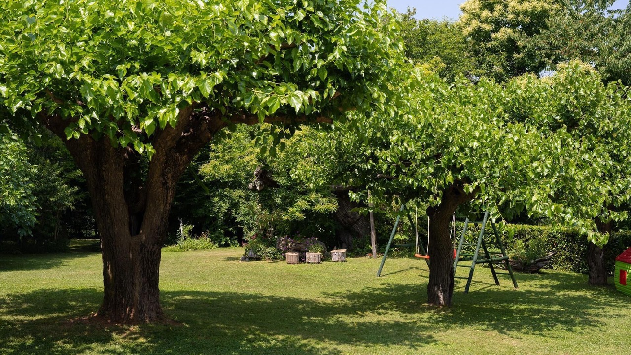 Photo of Others in Sveta Nedelja