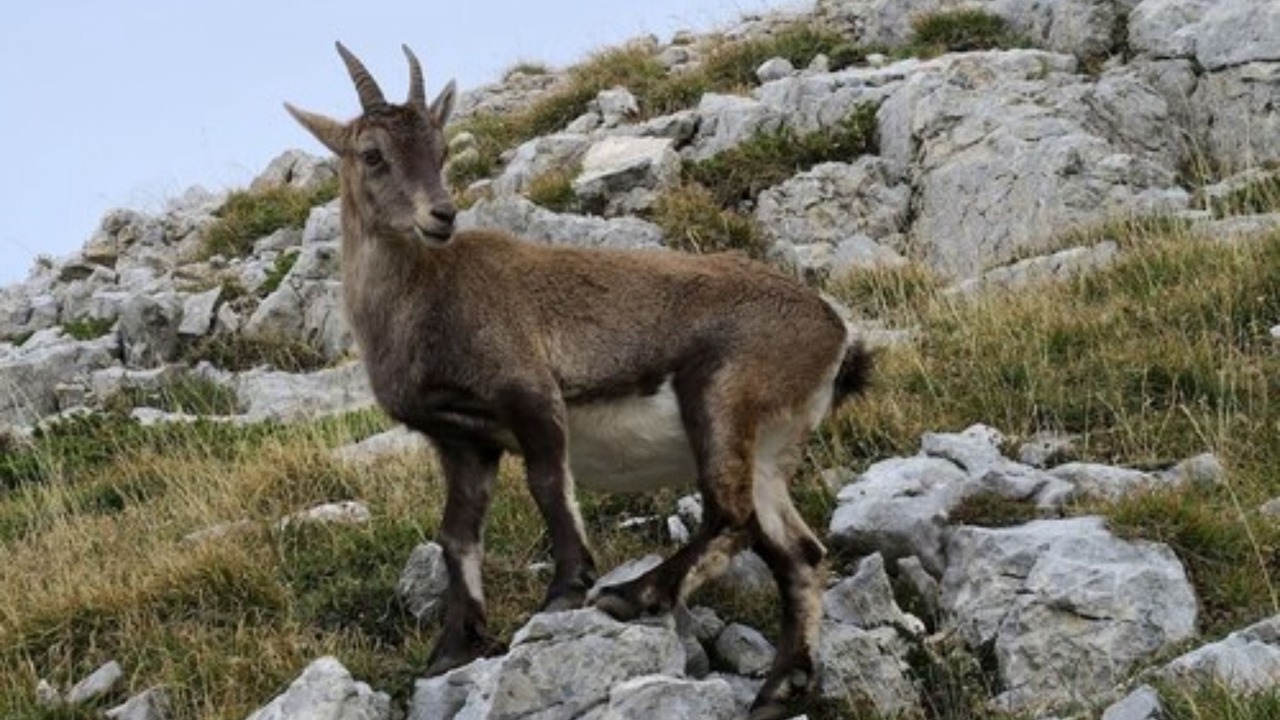 Photo of Outdoor in Gresse-en-Vercors
