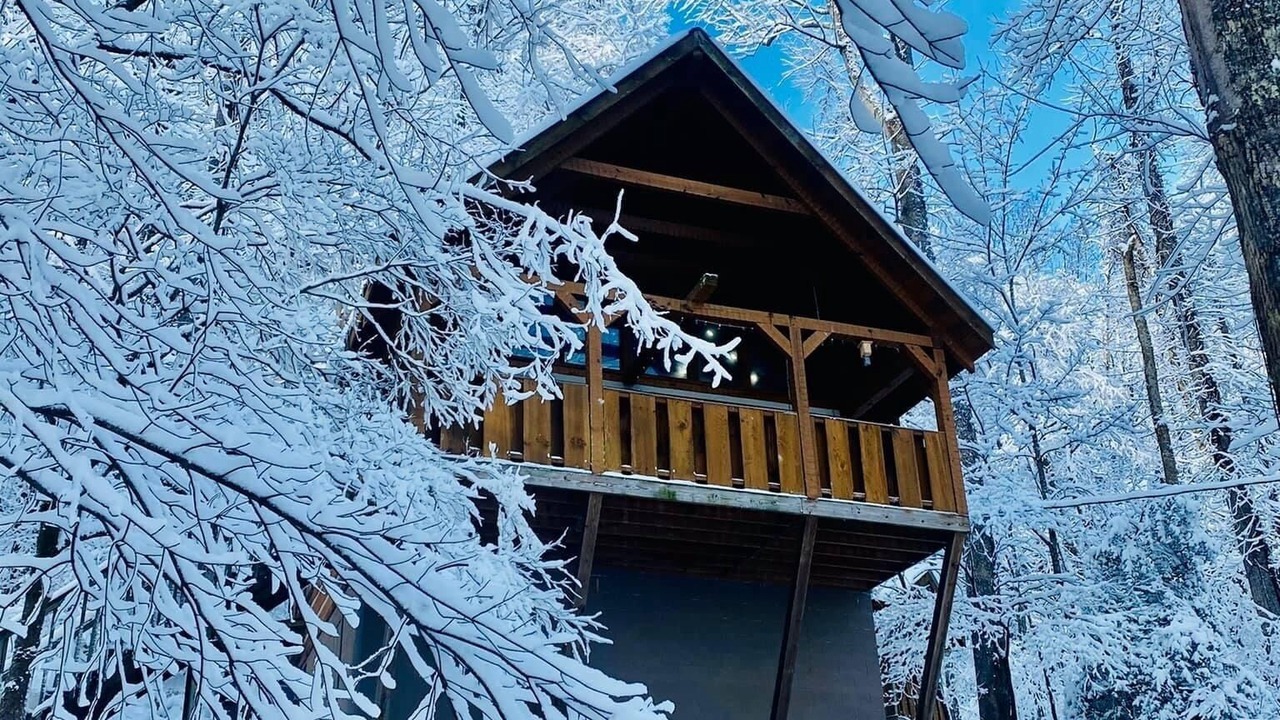 Photo of Outdoor in Townsend