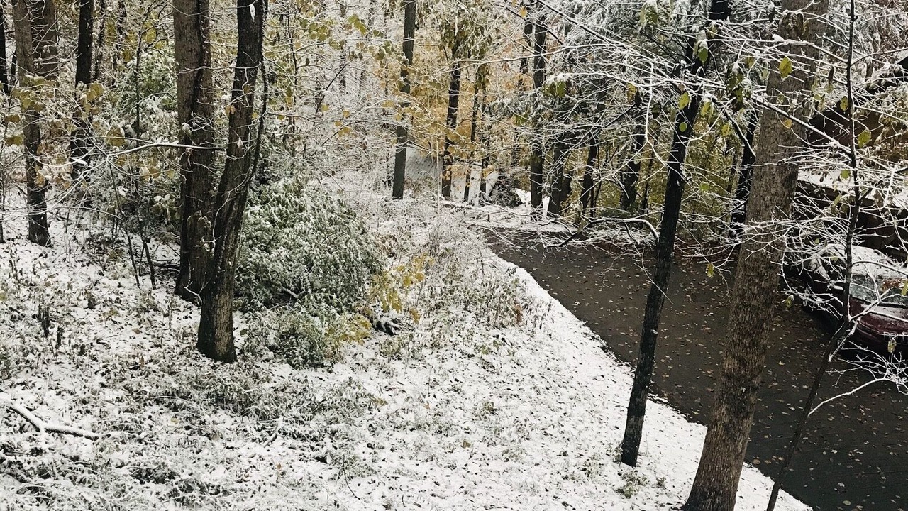Photo of Outdoor in Townsend