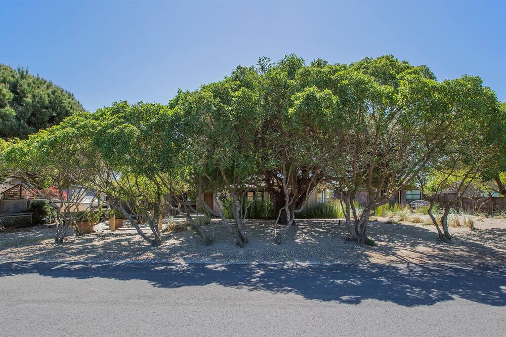 Photo of Others in Stinson Beach