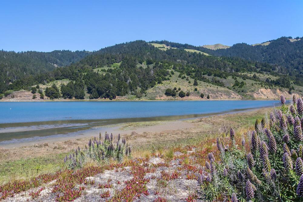 Photo of Others in Stinson Beach