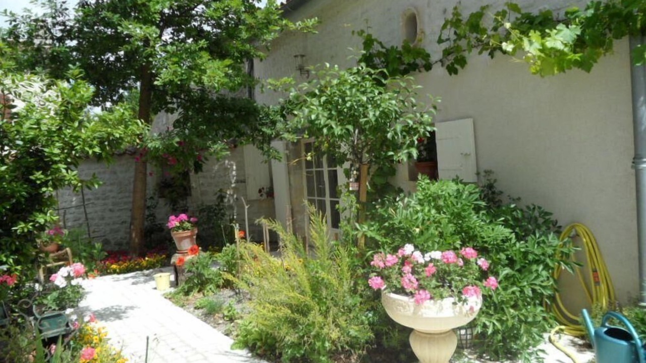 Photo of Outdoor in Gensac-la-Pallue