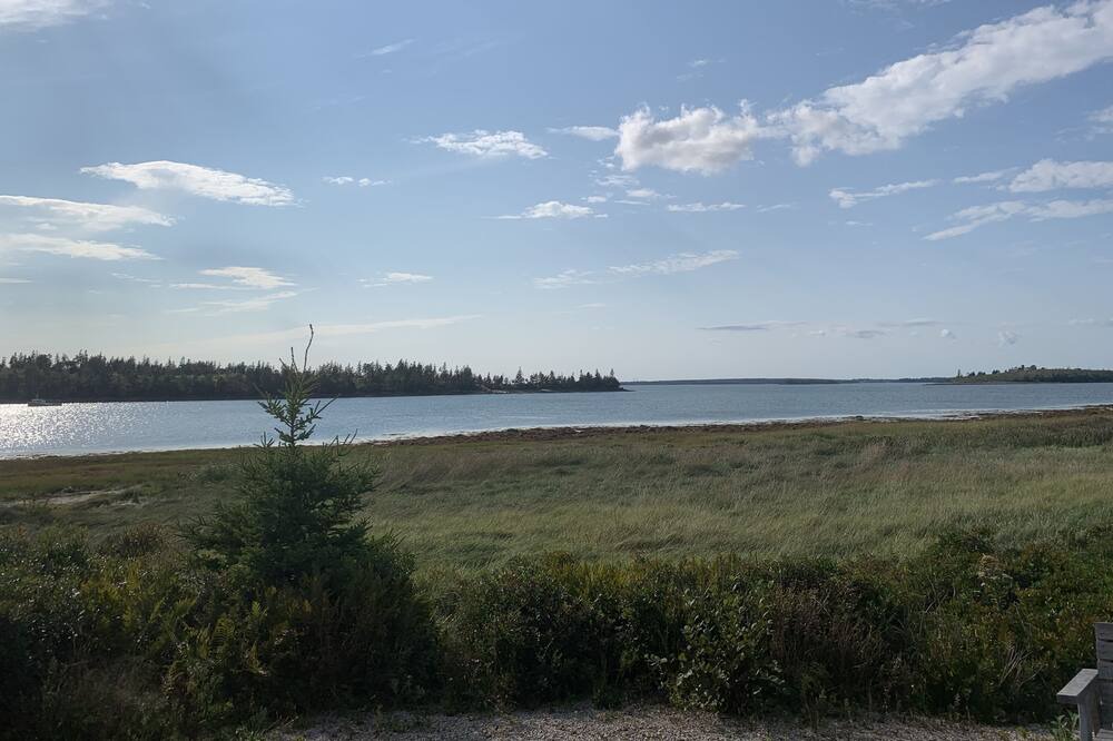 Photo of Others in Pubnico