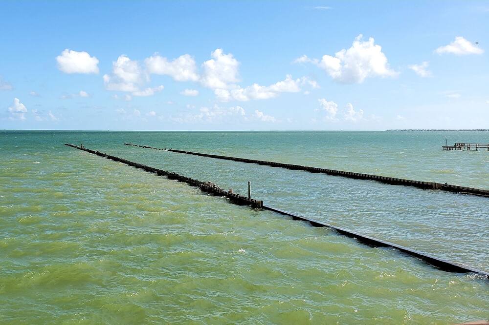 Photo of Others in Rockport