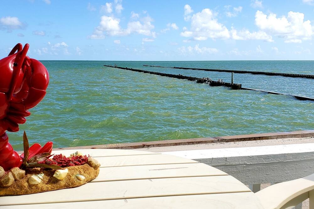 Photo of Others in Rockport