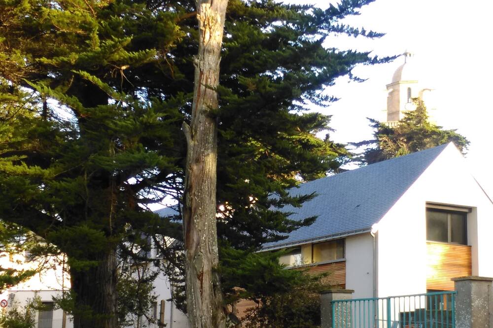 Photo of Outdoor in Batz-sur-Mer