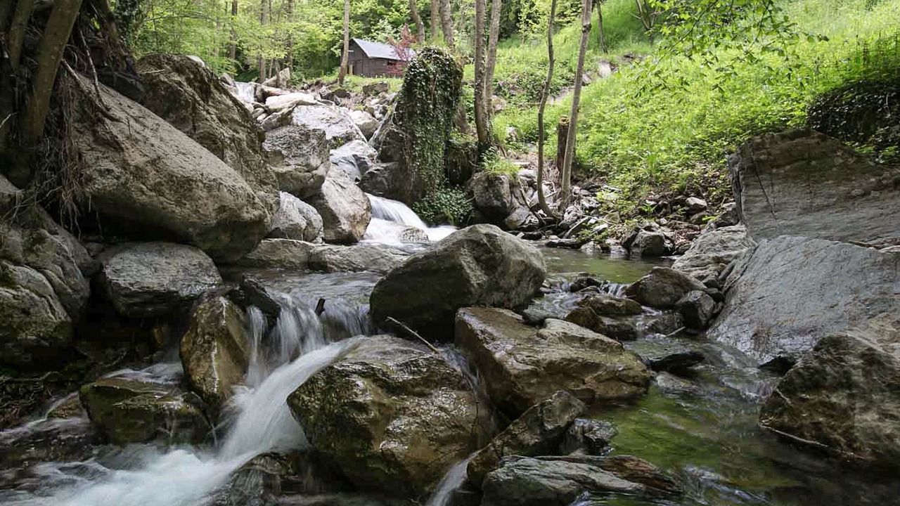 Photo of Outdoor in Vilallonga de Ter